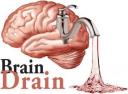 brain-drain1.jpg